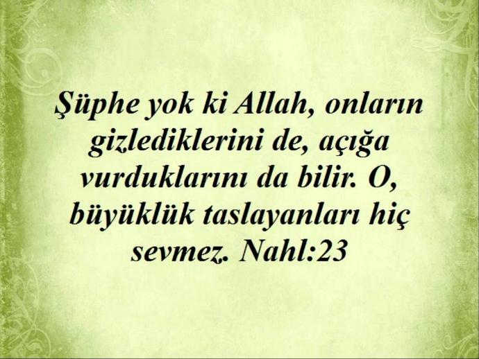 Kendini put yapıp kusursuz gören insanlar, kuruluşlar ve toplumlar hakkında ne düşünürsünüz?