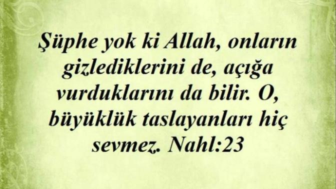 Kendini put yapıp kusursuz gören insanlar, kuruluşlar ve toplumlar hakkında ne düşünürsünüz?