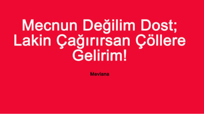 Size göre dostluk nedir?