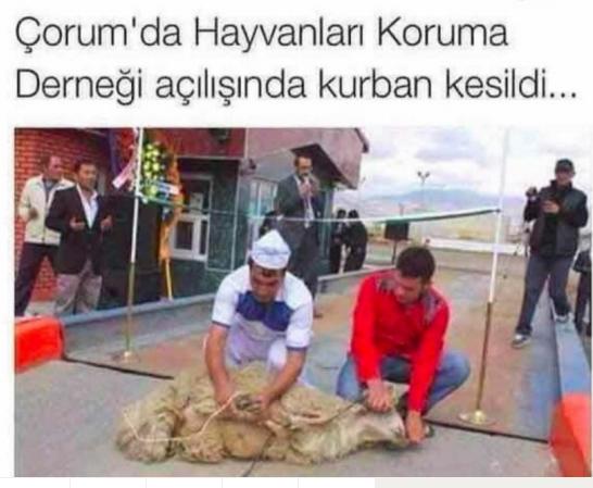Hayvanları koruma derneği açılışında kurban keserek yapabilir miyiz ?