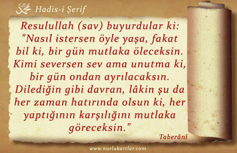 Allah'ın rahmeti ve bereketi üzerinize olsun. Hergün bir hadis bir ayet istermisiniz?