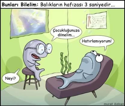 Balık hafızalı mısınız yoksa fil hafızalı mı?