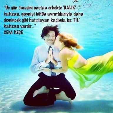 Balık hafızalı mısınız yoksa fil hafızalı mı?