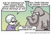 Balık hafızalı mısınız yoksa fil hafızalı mı?