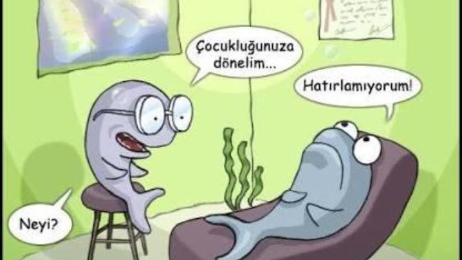 Balık hafızalı mısınız yoksa fil hafızalı mı?