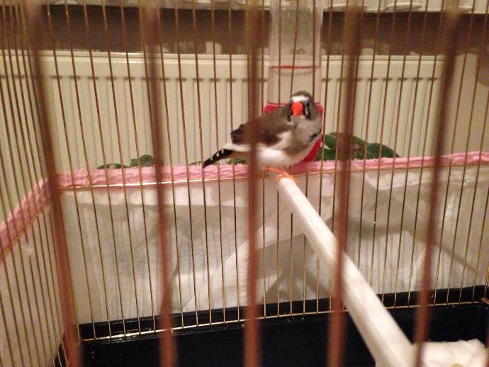 Anneanne oldum 🐣💕🐦 , kim beni tebrik etmek ister :))?