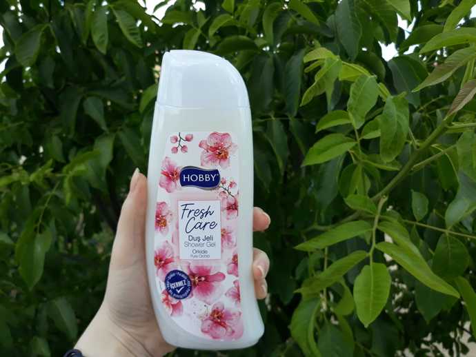 Hobby Fresh Care Orkide