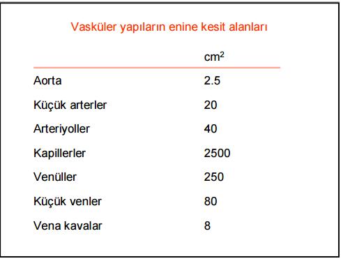 Zeki biri var mı?
