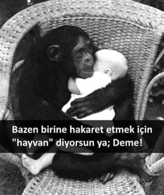 Bazen birine hakaret etmek için 