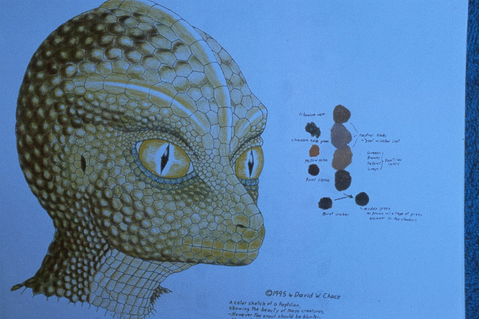 Reptilian insan ırkı var mıdır? RESİMLİ?