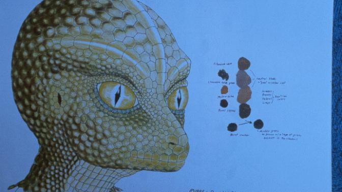 Reptilian insan ırkı var mıdır? RESİMLİ?