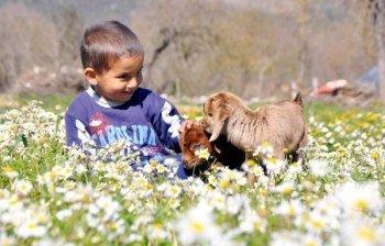 Memkete bahar geldi, yüreğine geldi mi?