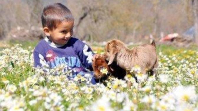 Memkete bahar geldi, yüreğine geldi mi?