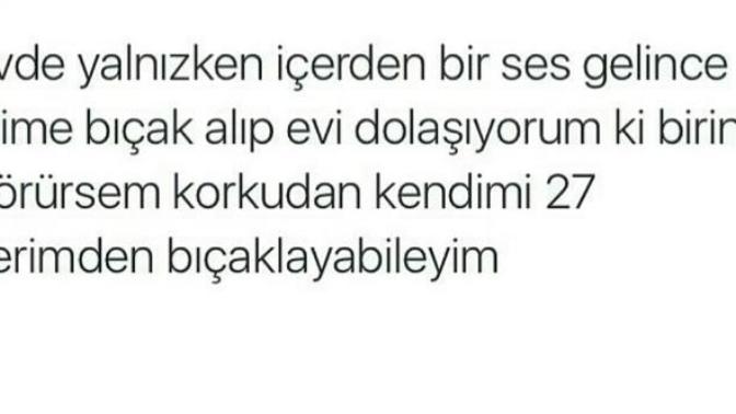 Evde yalnızken kontrol etmek amaçlı evi bıçakla dolaştığınız oldu mu?