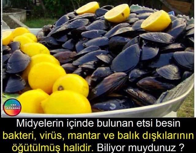 Midyenin içinde bulunan etsi besin nedir?