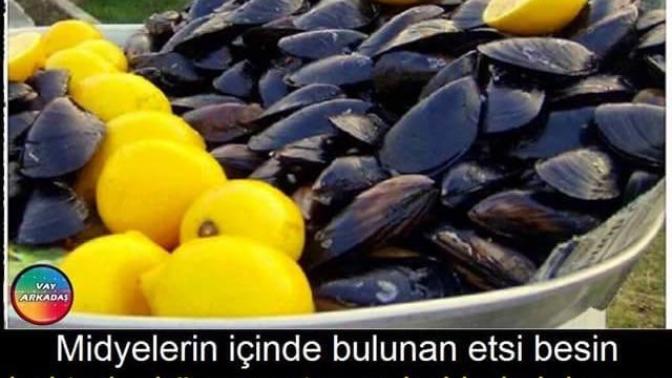 Midyenin içinde bulunan etsi besin nedir?