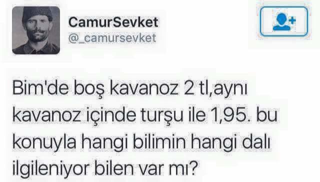 Biri bu resmi açıklayabilir mi lutfen?