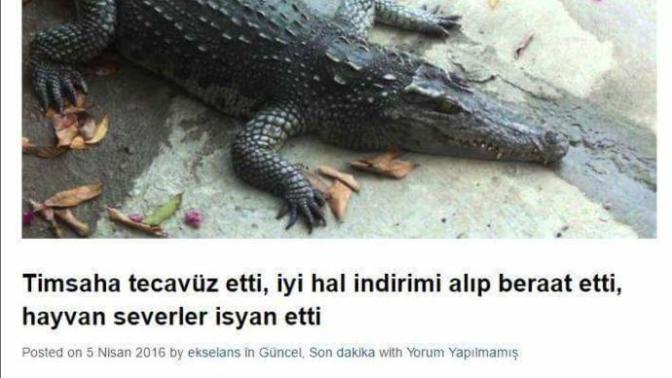 Timsaha tecavüz etti. Bu haber gerçek mi?