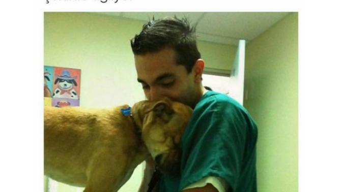 Köpekler neden mi en vefalı hayvan?