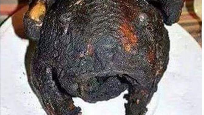 Hiç fırında tavuk unuttunuz mu?