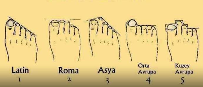 Ayaklarınıza göre ırk ve karakter analizi sizin ayağınız aşağıdakilerden hangisi peki?