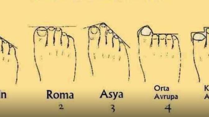 Ayaklarınıza göre ırk ve karakter analizi sizin ayağınız aşağıdakilerden hangisi peki?