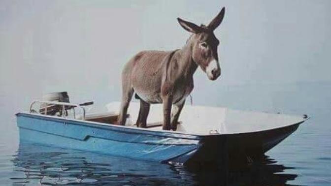 Ne demek istiyor fotoğraf?