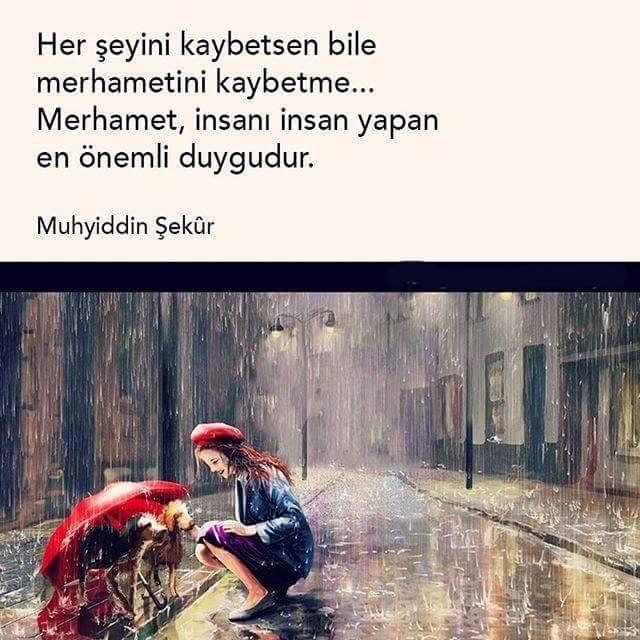 Kitap alıntıları sevenler?
