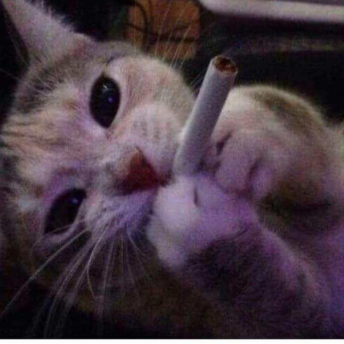 😐😔😔😔😔😔😔😔😔😔😔😔😔😔😔😔