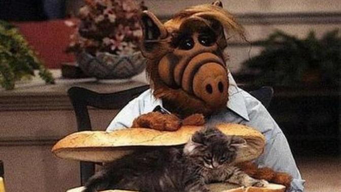 Ekmek arası en iyi ne gider? Favori ekmek arası yiyeceğiniz nedir?
