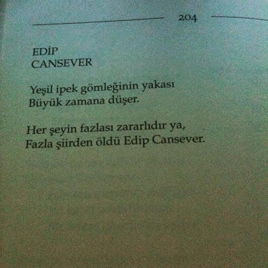 Her şeyin fazlası zarar mı?