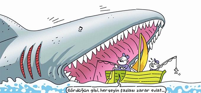 Her şeyin fazlası zarar diyorlar ya fazlası zarar olmayan bir şey var mıdır ?
