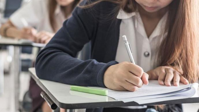 Anadolu lisesi ve düz lise farkları