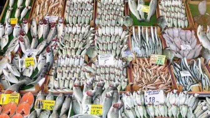 Sizce en lezzetli balık cinsi hangisi?