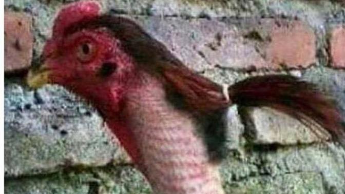 Uzun saçlı erkekler itici mi sizce de?