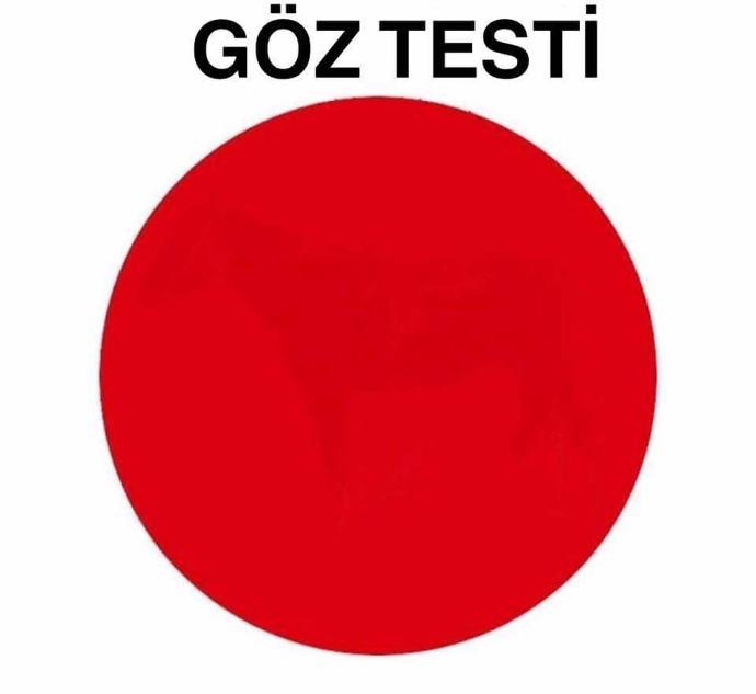 Ne görüyorsunuz resimde ?