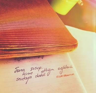 Sizin için neler sevdaya dahil?