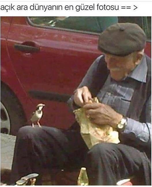 Sizce merhamet nedir?