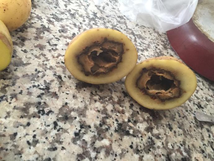 Patatesten soğudum :/ karşılaştınız mi hıç sizde ?