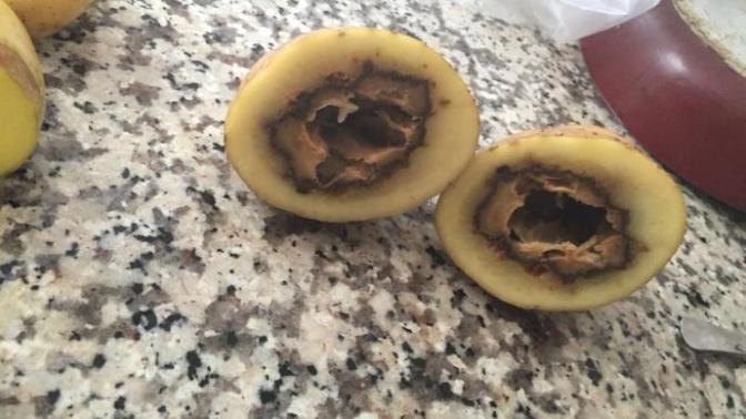 Patatesten soğudum :/ karşılaştınız mi hıç sizde?