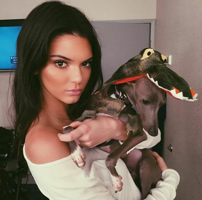 Kendall jenner hakkında ne düşüyorsunuz? Güzel mi sizce? Neden?