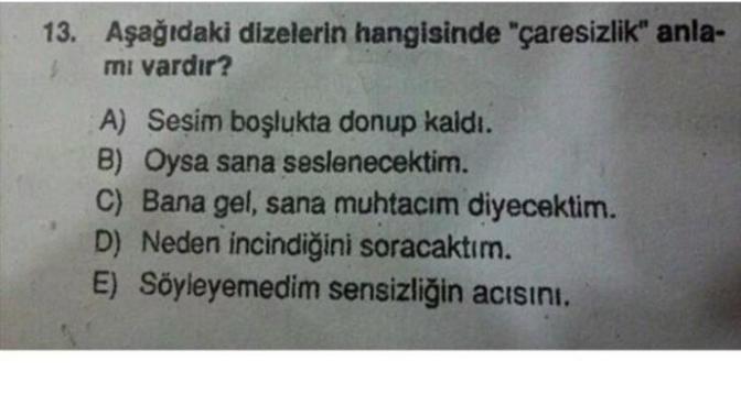 Hangisinde çaresizlik anlami var?
