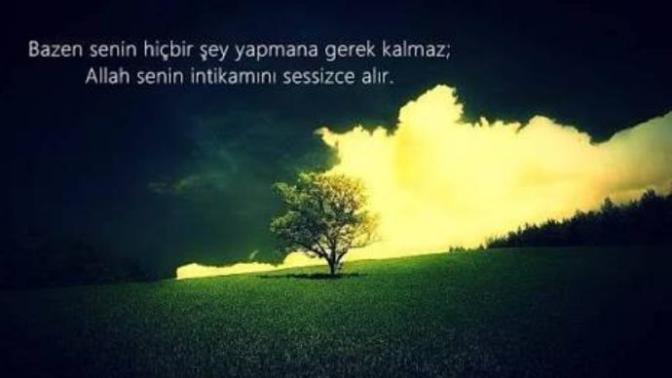 İntikam alır mısınız?