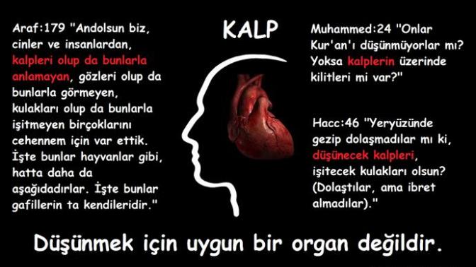 Kuranda beyinle ilgili hiç bir ayet olmadığı gibi, kalbin düşündüğü yazar. Bu ne derece mantıklıdır?