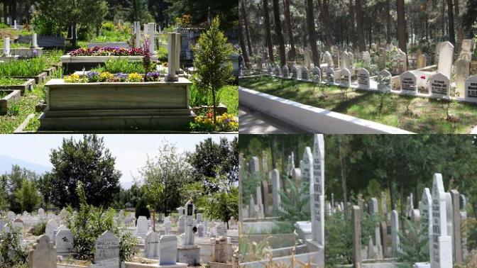 Mezarlara Neden Ağaç-Bitki-Çiçek Dikilir?