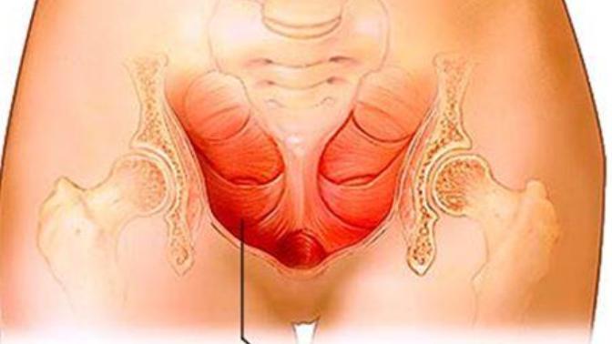 Kegel egzersizi ile erkeğin organını kalın hissedip sıkabileceğinizi biliyormusunuz?