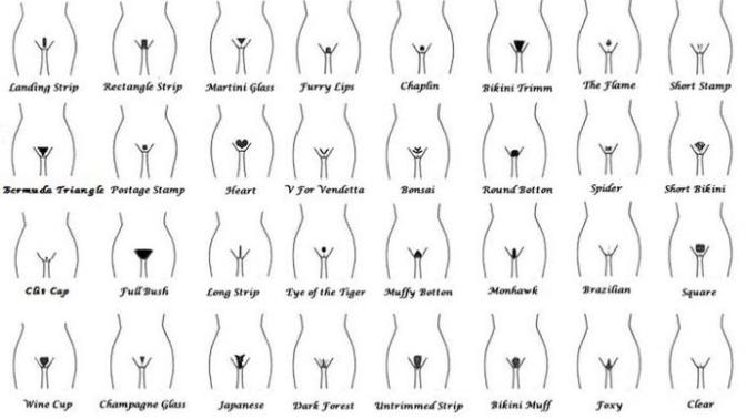 Kızlar, Genital bölge tüylerine şekil veren ya da bunu yapmayı düşünen var mı aranızda? Varsa hangileri?