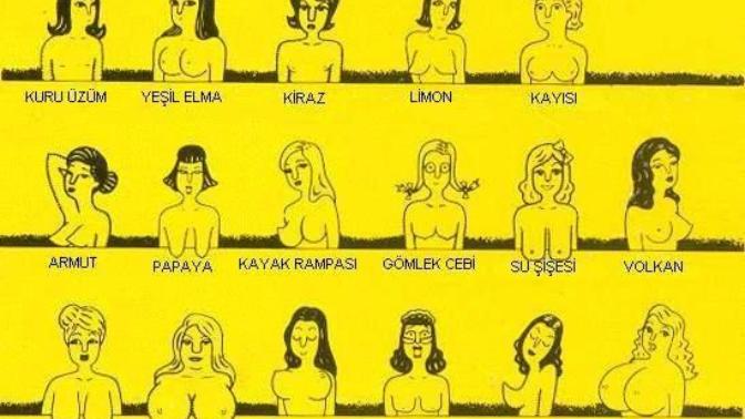 Kızlar, Sizin göğüs şekliniz ve ölçüsü ne resimli?