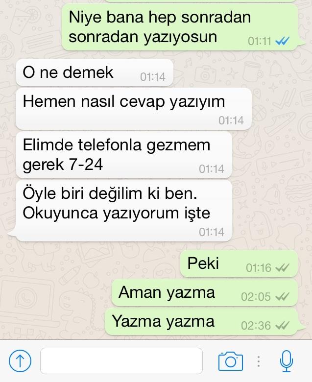 Şu mesajları  bir  okuyun ya bu beni umursamıyo mu bide ciddi ilişki istiyorun diyo buluşunca seviyorum diyo?