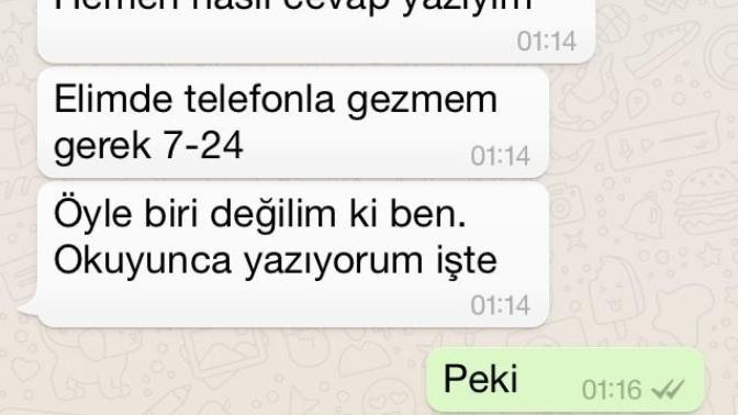 Şu mesajları  bir  okuyun ya bu beni umursamıyo mu bide ciddi ilişki istiyorun diyo buluşunca seviyorum diyo?